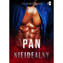 Pan nieidealny