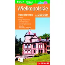 Podrownik. Mapa wojewdztwa - Wielkopolskie 1:250 000