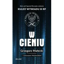 W cieniu. Kulisy wywiadu III RP