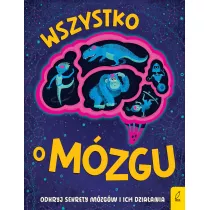 Wszystko o MZGU