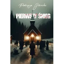 Pierwszy �nieg