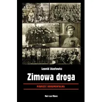 Zimowa droga