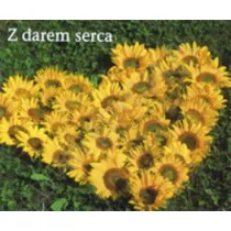 Z darem serca. Pere�ka 144