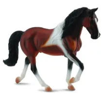 Klacz rasy Stallion Bay Pinto spacerujca