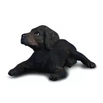 Pies labrador szcz�ni�
