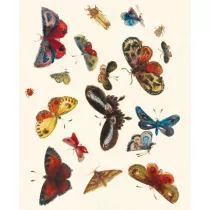 Museums & Galleries Karnet z kopert� Butterfly design decorati