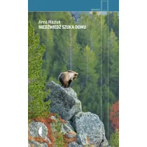Nied�wied� szuka domu