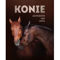 Konie. Pochodzenie, rasy, cechy