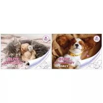 Beniamin Blok rysunkowy A4 The Sweet Pets biay 20 kartek