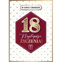 Armin Style Kanet Urodziny 18