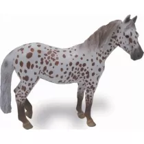 Klacz British Spotted Pony ma�ci kasztan 004-88750