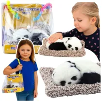 �pi�ca panda na poduszce