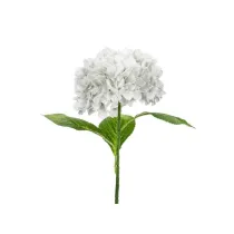 Hortensja Premium biaa 69cm