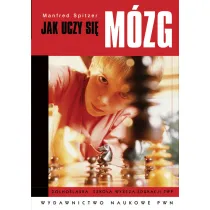 Jak uczy si� m�zg