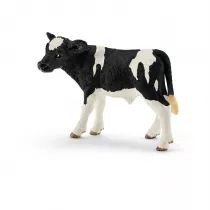 Ciel� rasy Holstein