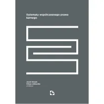 Dylematy wsp�czesnego prawa karnego