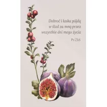 Szaron Magnes na lodwk - Dobro i aska