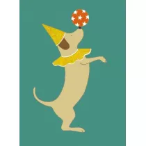 Karnet z kopert Party Dog 17x14 cm