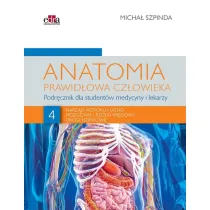 Anatomia prawid�owa cz�owieka. Tom 4