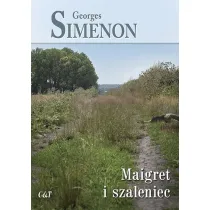 Maigret i szaleniec. Komisarz Maigret. Tom 16
