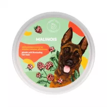 Hairy Tale Malinois nabyszczajca maska do wosw z kwasem glikolowym 200 ml