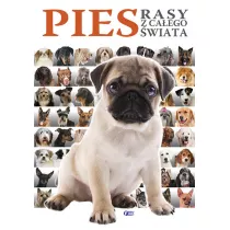 Pies. Rasy z caego wiata