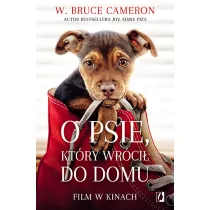O psie, ktry wrci do domu