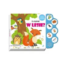 Co s�ycha� w lesie?