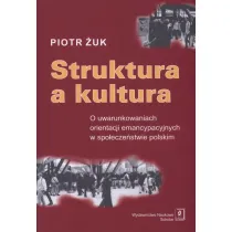 Struktura a kultura