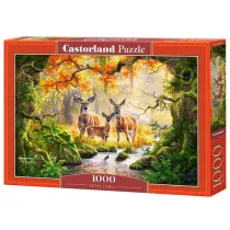 Puzzle 1000 el. Rodzina krlewska Castorland