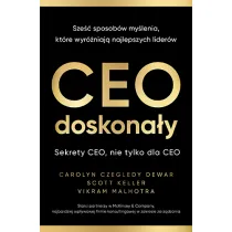 CEO doskona�y. Sze�� sposob�w my�lenia, kt�re wyr�niaj� najlepszych lider�w