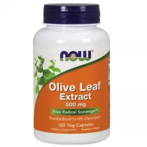 Now Foods Olive Leaf extract - standaryzowany Li Oliwny 500 mg Suplement diety 120 kaps.