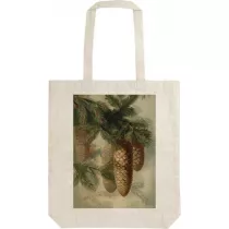 Skona Ting Torba bawe�niana STBAG 56 Szyszki jod�y