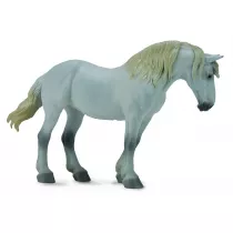 Klacz rasy Percheron Mare Grey