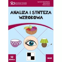 Analiza i synteza wzrokowa