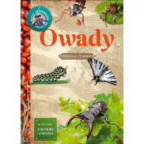 Mody Obserwator Przyrody - Owady