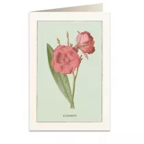 Tassotti Karnet B6 + koperta 6023 Oleander