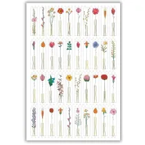 DaVinci Karnet 12x18cm + koperta Kwiaty z �odyg�
