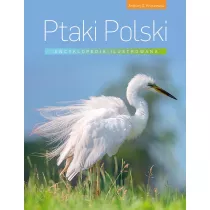 Encyklopedia ilustrowana. Ptaki Polski