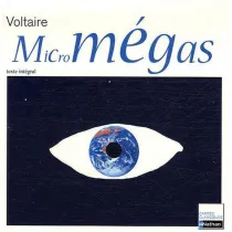 Micromegas