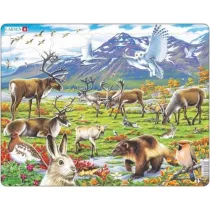 Puzzle 50 el. Flora i fauna arktycznej tundry Larsen