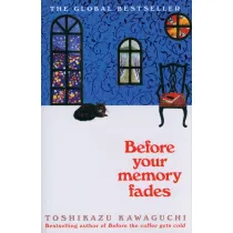 Before Your Memory Fades
