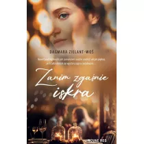 Zanim zga�nie iskra