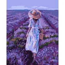 Qbee Malowanie po numerach - Pole lawendy 40x50cm