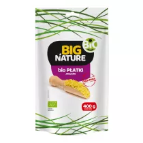 Big Nature Patki jaglane Dua Paka 400 g Bio