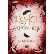 Echo zapomnienia