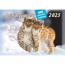 Kalendarz 13 planszowy A4 Leni przyjaciele LUCRUM WL07