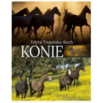 Konie