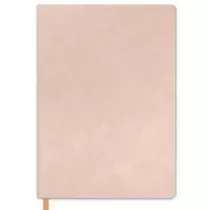 Designworks Ink Notes A5 Blush linia 192 kartki
