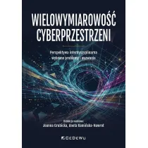 Wielowymiarowo�� cyberprzestrzeni